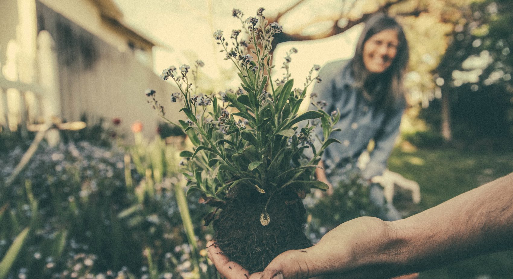 Gardening