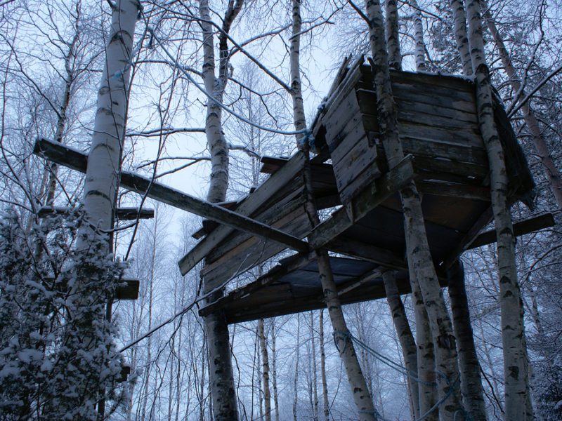 Forest