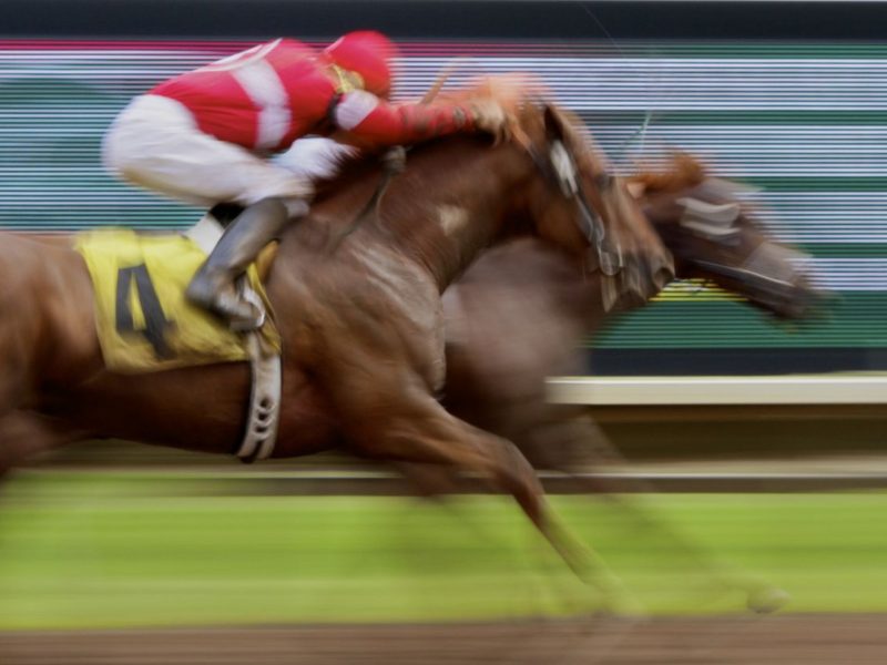 Horse Racing