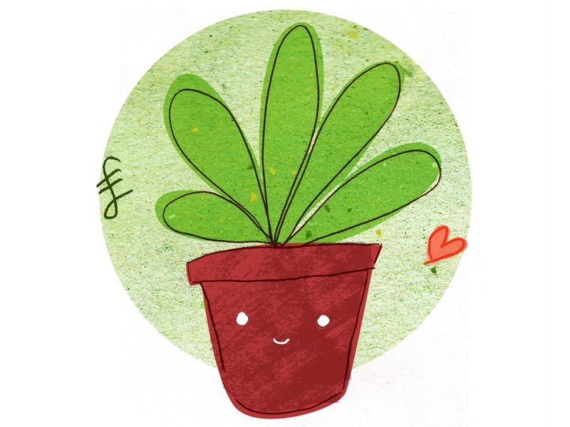 Gardening Inside Happiness
