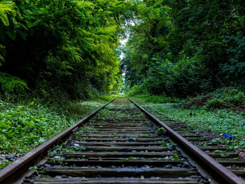 Train Prices
