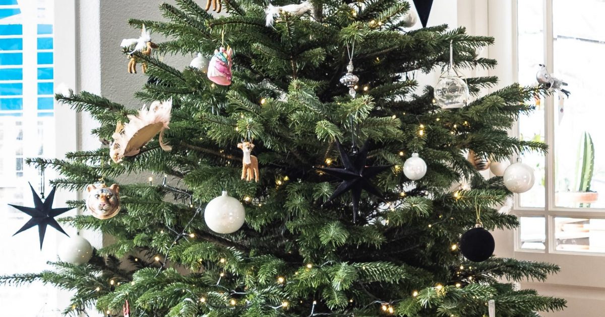 Free £10 vouchers with IKEA Christmas trees Mouthy Money