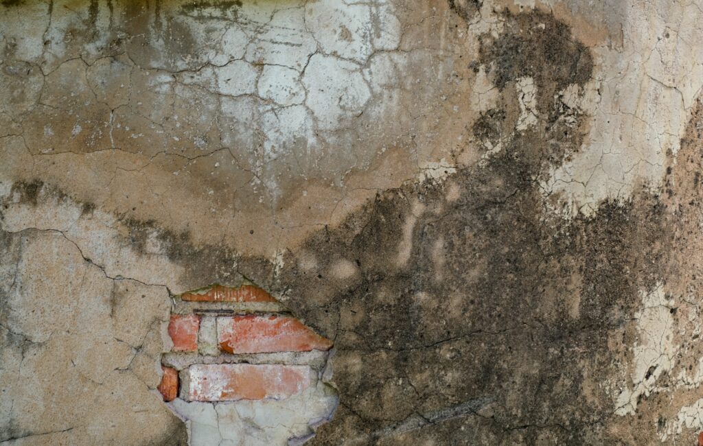 damaged damp wall in rental property